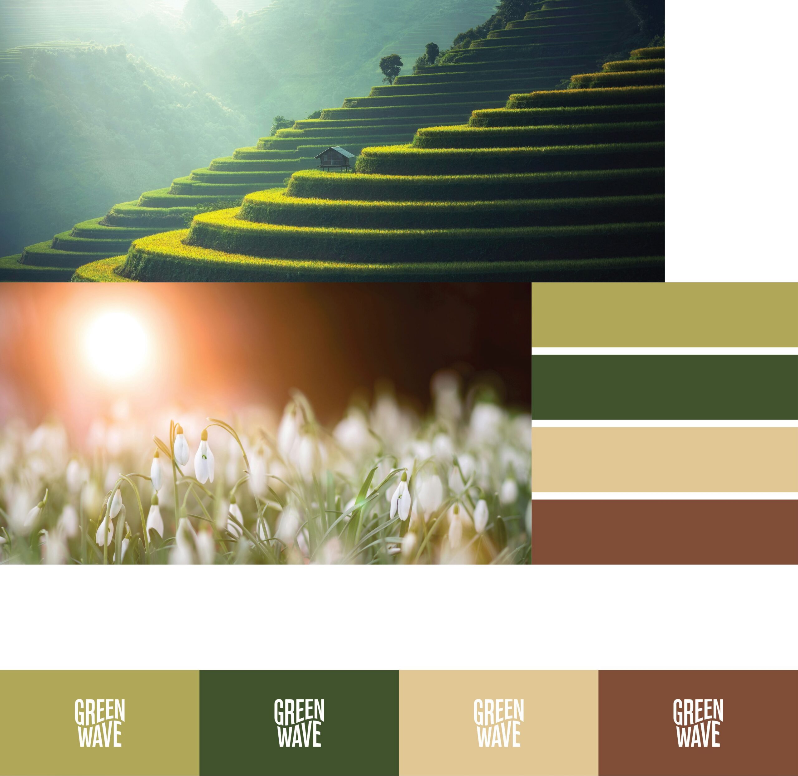 Explicação das cores e formas do logotipo Green Wave.